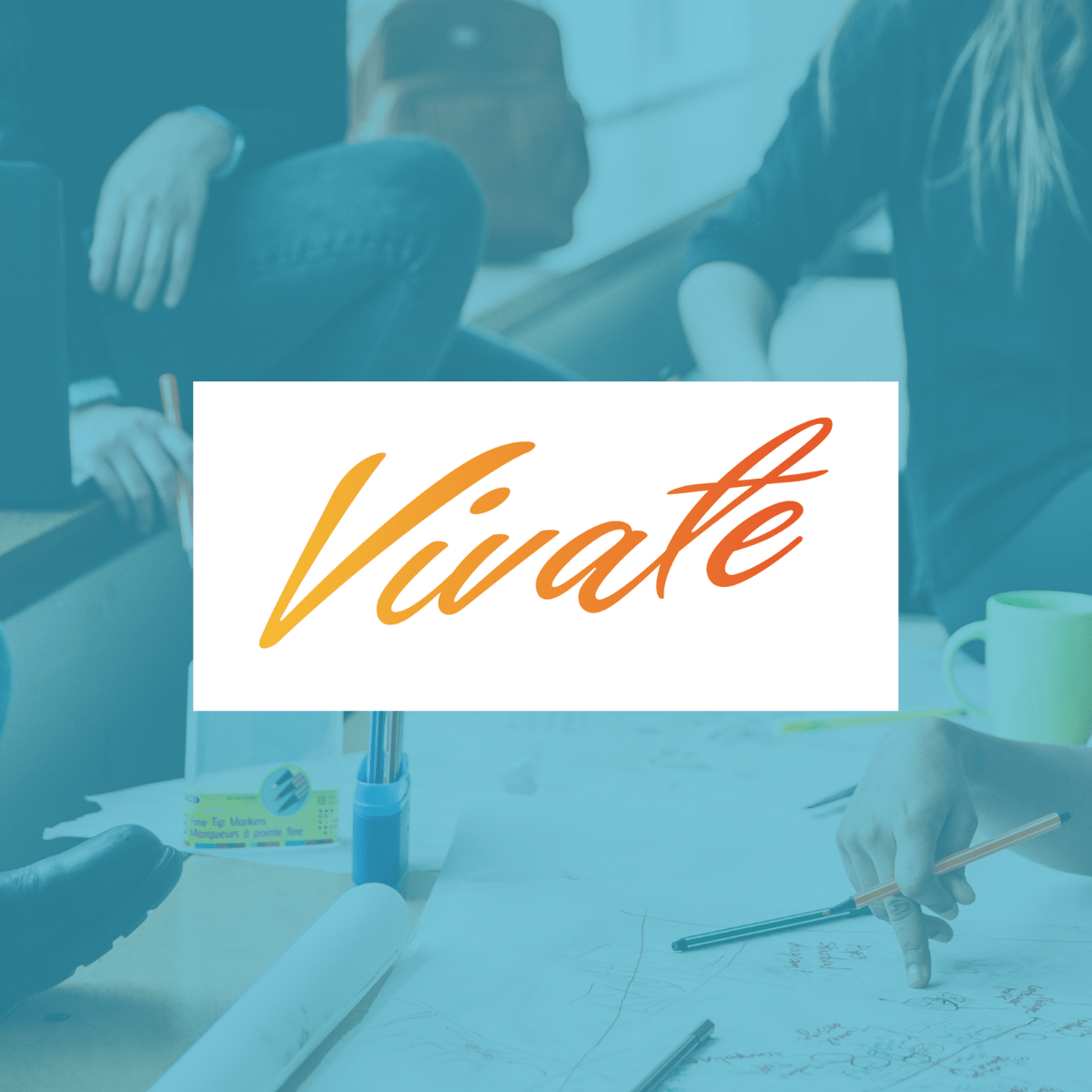 Vivate case